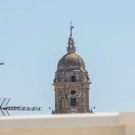 Atico Con Terraza Ac 1Hab En El Centro Y Piscina Comunitaria * Málaga